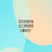 武汉东湖光电技工学校师资力量如何？