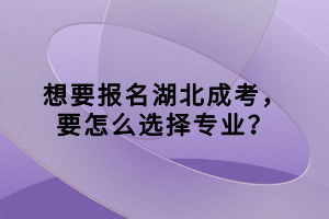 想要报名湖北成考，要怎么选择专业？
