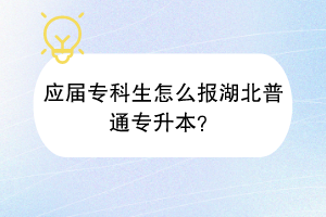 应届专科生怎么报湖北普通专升本？