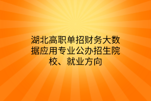 湖北高职单招财务大数据应用专业公办招生院校、就业方向