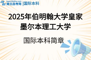 2025年伯明翰大学皇家墨尔本理工大学国际本科招生简章