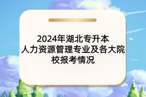 2024年湖北专升本人力资源管理专业及各大院校报考情况