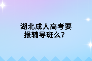 湖北成人高考要报辅导班么？