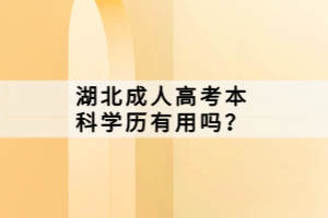 湖北成人高考本科学历有用吗？