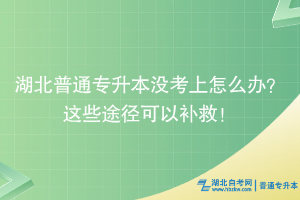 湖北普通专升本没考上怎么办？这些途径可以补救！
