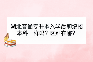 湖北普通专升本入学后和统招本科一样吗？区别在哪？