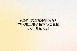 2024年武汉城市学院专升本《电工电子技术与信息技术》考试大纲