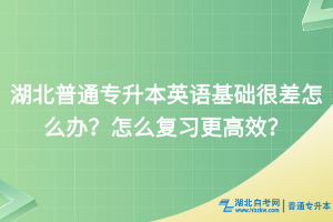 湖北普通专升本英语基础很差怎么办？怎么复习更高效？