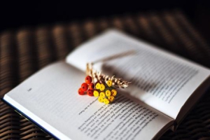 2022年湖北第二师范学院普通专升本《大学英语》考试大纲