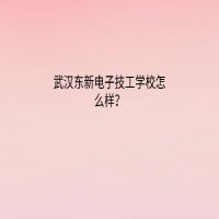 武汉东新电子技工学校怎么样？