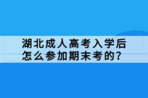 湖北成人高考入学后怎么参加期末考的？