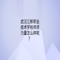 武汉三新职业技术学校师资力量怎么样呢？