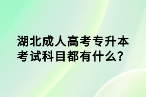 湖北成人高考专升本考试科目都有什么？