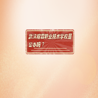 武汉榕霖职业技术学校是公办吗？