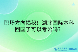 职场方向揭秘！湖北国际本科回国了可以考公吗？
