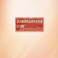 武汉榕霖职业技术学校是3+2吗?