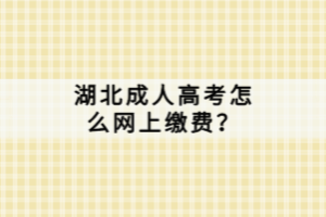 湖北成人高考怎么网上缴费？