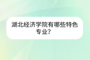 湖北经济学院有哪些特色专业？