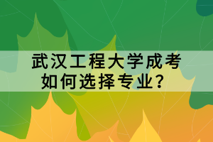 武汉工程大学成考如何选择专业？