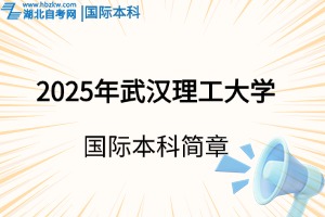 2025年武汉理工大学国际本科招生简章