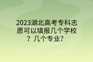 2023湖北高考专科志愿可以填报几个学校？几个专业？