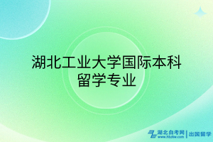 湖北工业大学国际本科留学专业