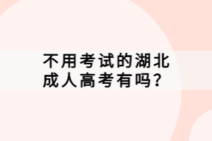 不用考试的湖北成人高考有吗？