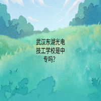 武汉东湖光电技工学校是中专吗？