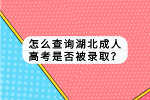 怎么查询湖北成人高考是否被录取？