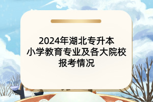 2024年湖北专升本小学教育专业及各大院校报考情况