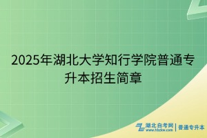 2025年湖北大学知行学院普通专升本招生简章