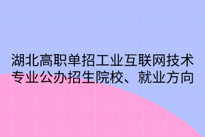 湖北高职单招工业互联网技术专业公办招生院校、就业方向