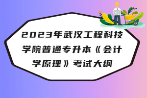 ​2023年武汉工程科技学院普通专升本《会计学原理》考试大纲