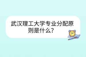 武汉理工大学专业分配原则是什么？
