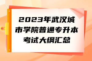 2023年武汉城市学院普通专升本考试大纲汇总