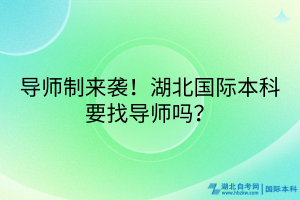 导师制来袭！湖北国际本科要找导师吗？