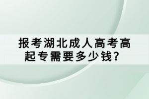 报考湖北成人高考高起专需要多少钱？