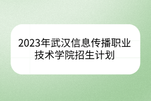 2023年武汉信息传播职业技术学院招生计划