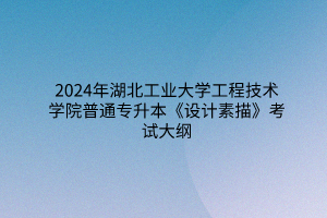 2024年湖北工业大学工程技术学院普通专升本《设计素描》考试大纲
