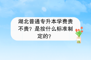 湖北普通专升本学费贵不贵？是按什么标准制定的？