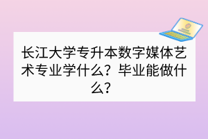 长江大学专升本数字媒体艺术专业学什么？毕业能做什么？
