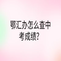 鄂汇办怎么查中考成绩？