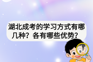 湖北成考的学习方式有哪几种？各有哪些优势？