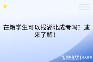 在籍学生可以报湖北成考吗？速来了解！