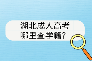 湖北成人高考哪里查学籍？