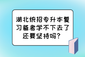 湖北统招专升本复习备考学不下去了还要坚持吗？