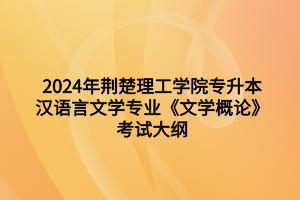 2024年荆楚理工学院专升本汉语言文学专业《文学概论》考试大纲
