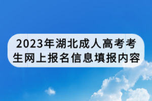 2023年湖北成人高考考生网上报名信息填报内容