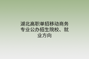 湖北高职单招移动商务专业公办招生院校、就业方向