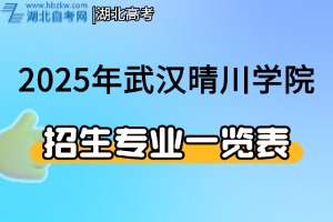 2025年武汉晴川学院本专科招生专业一览表